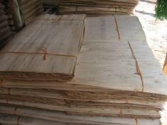 Eucalyptus Veneer