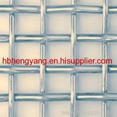 electro galvanized square mesh