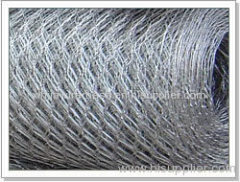 Hexagonal Wire Netting