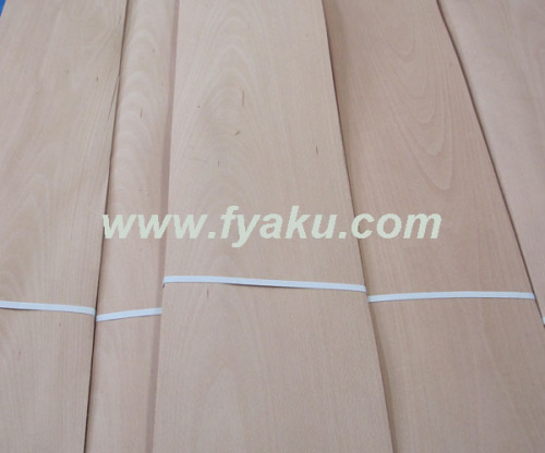 Steamed Beech Veneer