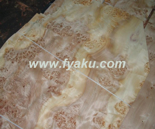 Mappa Burl Veneer