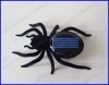 solar spider