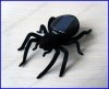 Solar toy spider