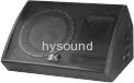 stage monitor