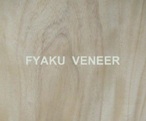 Prima Vera Veneer