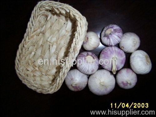 Single Clove Garlic