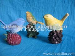 ornamental birds