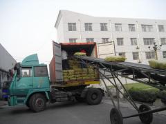 Qingdao R.H.S Rubber Co.,LTD