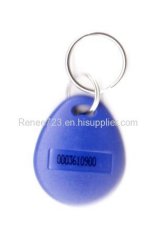 EM4200/4100 Key Chain, Keyfob