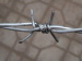 Galvanized Barbed Wire