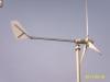 wind energy