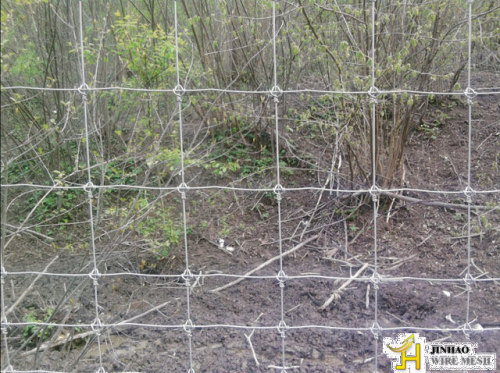 grass land fence