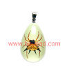 real spider bug lucite jewelry,insect jewelry