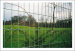 Welded Mesh Fence Wire Mesh Fence