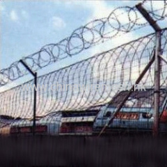 Spiral blade razor wire