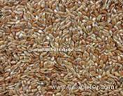 Flaxseed Oil