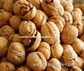 Walnut Oil