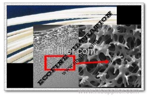 NIPS/TIPS PVDF Hollow Fiber Membrane for Waste Water Treatment