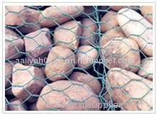 Gabion box