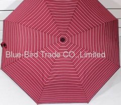 stripe promotion umbrella