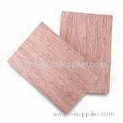 filme faced plywood.commercial plywood