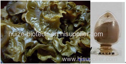 Auricularia auricula-judae polysaccharides