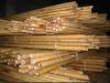 Bamboo Sticks