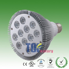 LED Par Light Par38