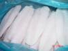 FROZEN WELL TRIMMED WHITE PANGASIUS FILLET-WHITE BASA FILLET