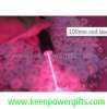 100mw red laser pointer