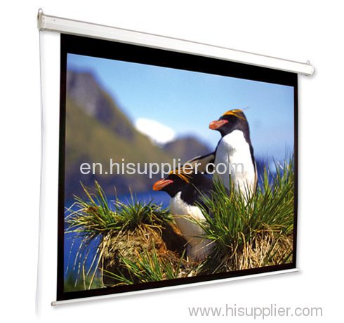 projection screen