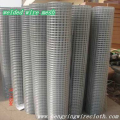 welded stainless steel wire mesh/welded wire mesh panel