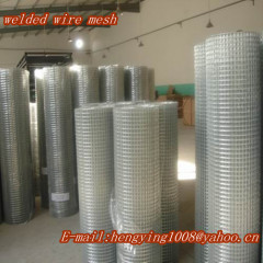 304 welded wire mesh/316 welded wire mesh