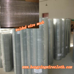 Welded Wire Mesh