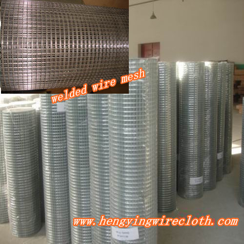 Galvanized iron wire mesh/pvc coated welded wire mesh