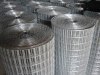 Welded Wire Mesh in roll