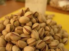 iranian pistachio