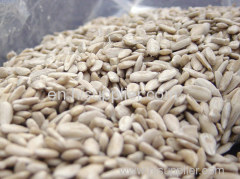 sunflower seed kernel