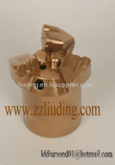 LD PDC drill bits