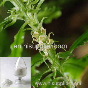 Huperzia Serrate extract(Huperzine A)