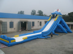 Hippo giant slide