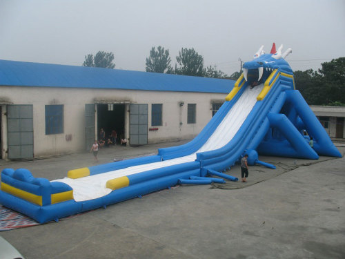 Hippo giant slide