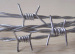 heavily galvanized high tensile barbed wires