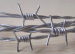 Hot dipped galvanized barbed iron wire