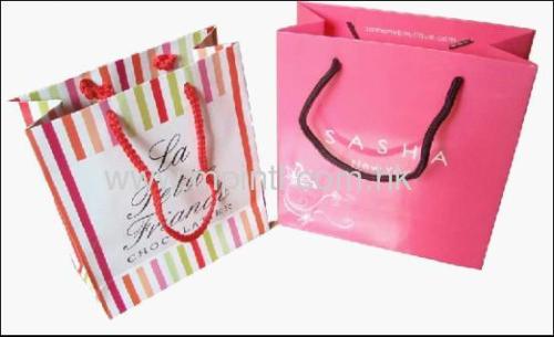 2011 Fashionable Paper Bag & Gift Bag & Shopping Bag