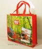 Woven bag, PP woven bag, PP bag, gift bag