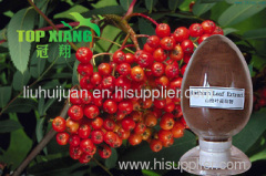 Hawthorn Extract