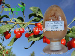 Medlar Extract (Polysaccharide)