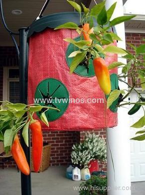 Topsy Turvy Hot Pepper Planter