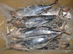 HOANG VIET SEAFOODS CO., LTD.